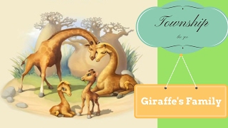 Township Level 49 - Complete the family of Giraffe screenshot 4