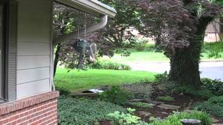 MVI_3821.AVI