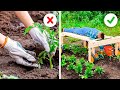 Ultimate Garden Hacks 🍃 Grow Your Dream Garden with Ease