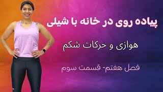 پیاده روی در خانه با شیلی ورزش هوازی و شکم برای کالری سوزی و چربی سوزی شکم: قسمت ۷ فصل ۳