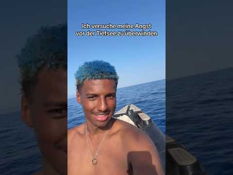 Der Megalodon hat schon gewartet