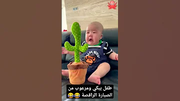 طفل يبكي ومرعوب من الصبارة الراقصة 