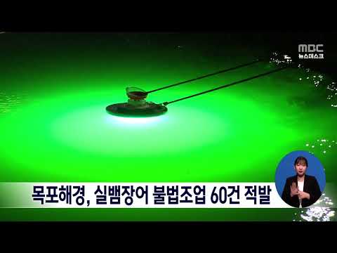 목포해경, 실뱀장어 <strong>불법조업</strong> 60건 적발[목포MBC 뉴스데스크]
