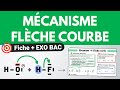 Mcanisme ractionnel  flche courbe  rvision  exo bac  chimie  terminale spcialit