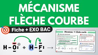 Mécanisme réactionnel & FLÈCHE COURBE 💚 Révision + EXO BAC | Chimie | Terminale spécialité