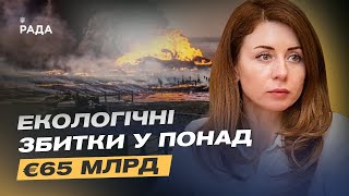 Російська агресія завдала екології України збитків у понад 65 млрд євро | Світлана Гринчук