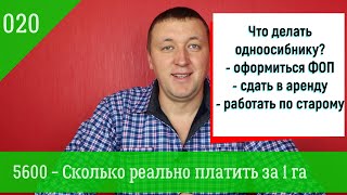 020.Агрофинасы. 5600 - что делать одноосибнику и сколько реально мы будем платить за 1 гектар?