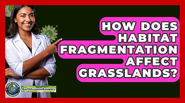 How Does Habitat Fragmentation Affect Grasslands? - Earth Science Answers