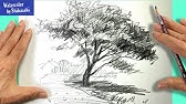 誰でも簡単 鉛筆でリアルに木を描くためのコツ Youtube 誰でも簡単 鉛筆でリアルに木を描くためのコツ Youtube
