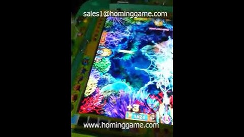New version game machine fishing game machine 2014 hot sale  www.hominggame.com