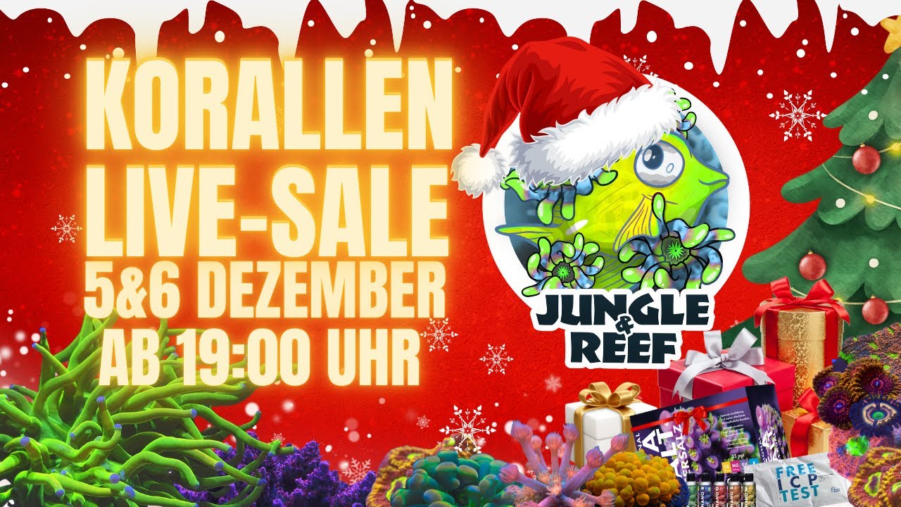 🎅 Santa’s Coral Drop – Weihnachts-Live-Sale mit Top Deals! für euer Meerwasseraquarium.