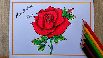 How to draw Rose Step by step| Rose Flower drawing| Valentine