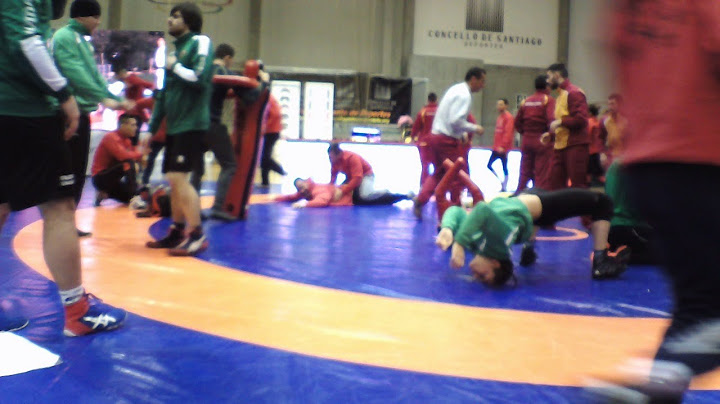 Campeonato de España Senior de Luchas Olímpicas - Tapiz 2