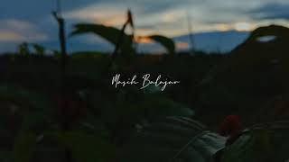 Download Lagu Story wa CINEMATIC ALAM 30 Detik || Sore hari MP3