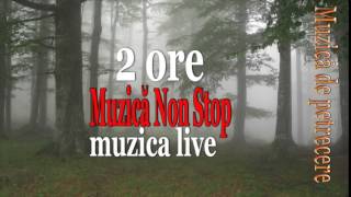 2 ORE MUZICA DE PETRECERE SI VOIE BUNA PENTRU ROMANII PETRECARETI