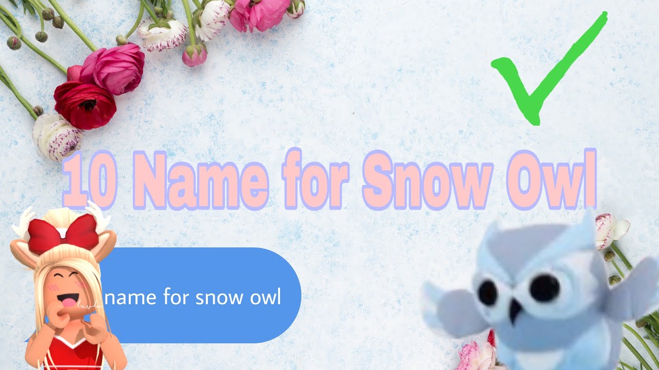 10 Best Names for Snow Owl YouTube