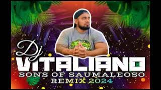 DJ VITALIANO X PARTY MIX 2024