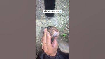 đổ thạch đá quý an phú lục yên