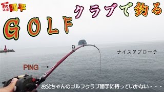 ゴルフシャフト竿で魚釣り(152話目)