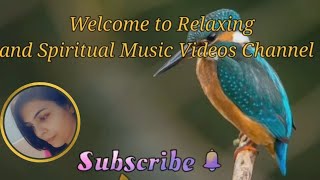 Amazing combination of birds and wise words with soft and soothing music, Relaxing music with quotes screenshot 4