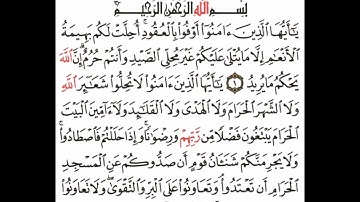 سورة المائدة آية ١-٣# اكسبلور #القران #القارى attaullahfarooqi55 عطاء الله فاروقي من الدوحة قطر