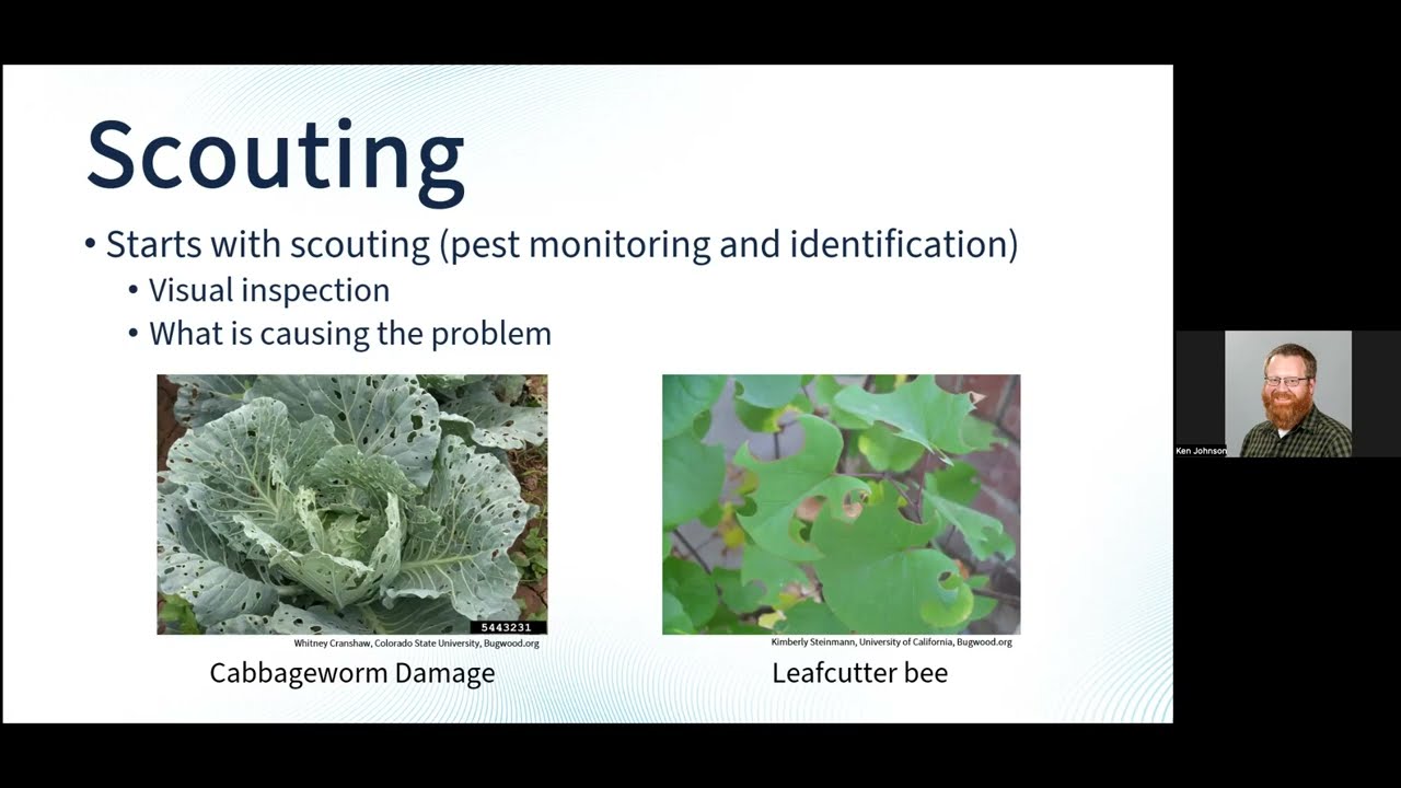 Learn & Grow: Pest Management for Veggies | Friends of the Oak Park Conservatory