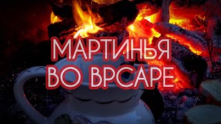 Врсар (Vrsar). Мартинья - винный фестиваль. Истрия. Хорватия