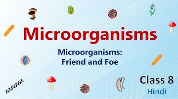 Microorganisms | Microorganisms: Friend and Foe | Science Class 8 Chapter 2 | NCERT