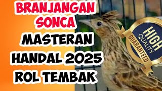 BRANJANGAN SONCA MASTERAN IDAMAN ROLL TEMBAK DURASI COCOK UNTUK BRANJANGAN TROTOL MURAI TROTOL