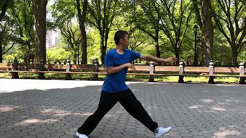 Baguazhang Wanli Swimming body palm