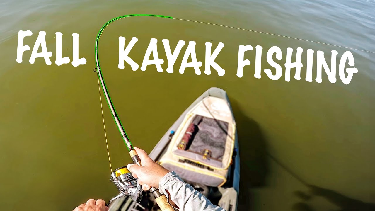 Catching FALL BASS Feeding on BIG SCHOOLS of Shad!! + Dropshot Fishing Docks for Dinner