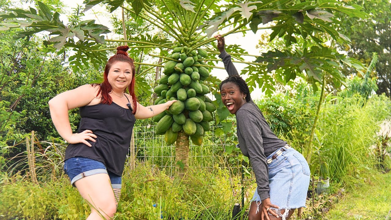How He Built Rich Soil from Florida Sand in Just 2 Years 🌱🔥