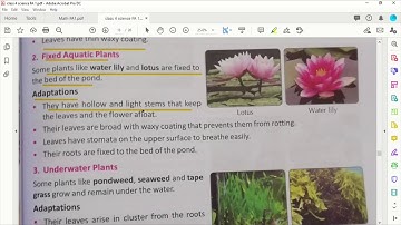 class 4 science ch 8 Adaptation Part 3 Aquatic plants