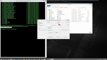 WannaCry Static Analysis
