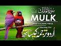 Surah Al-Mulk Full ❤️📖 | Urdu &amp; Hindi Translation | Beautiful Quran Recitation by Mansoor Ghaznavi