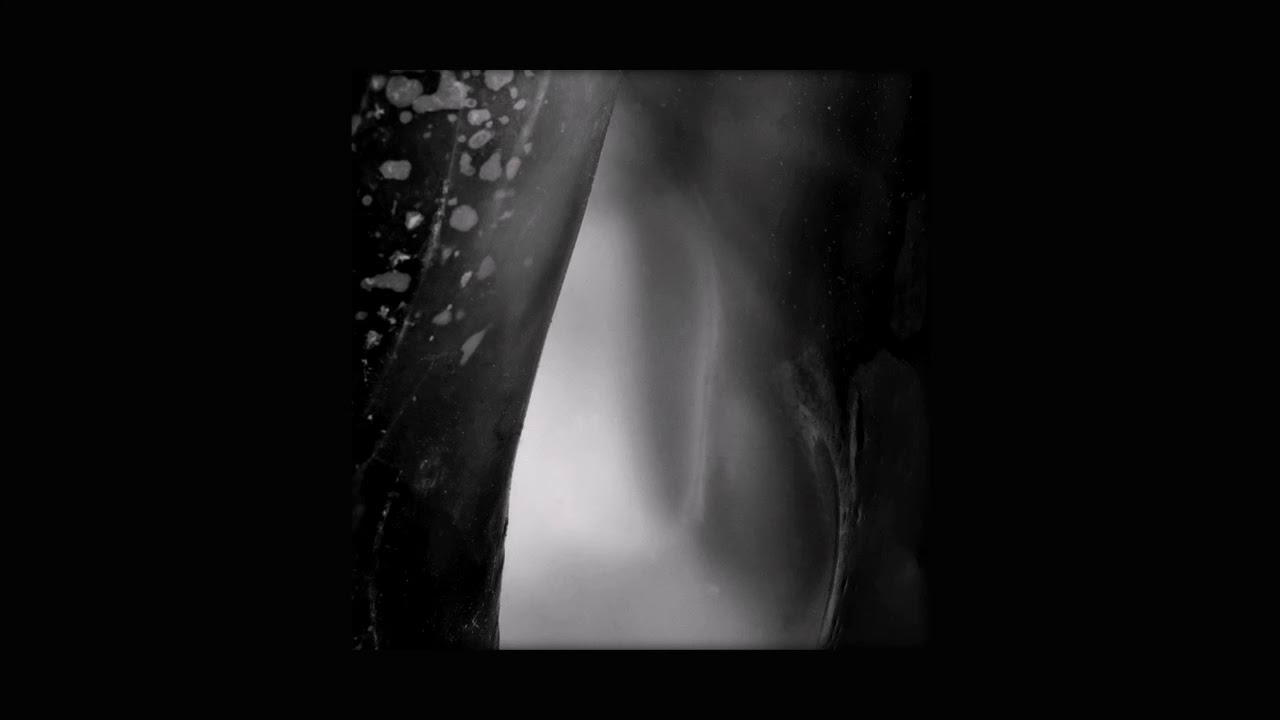 Vlimmer - Krakenkombat