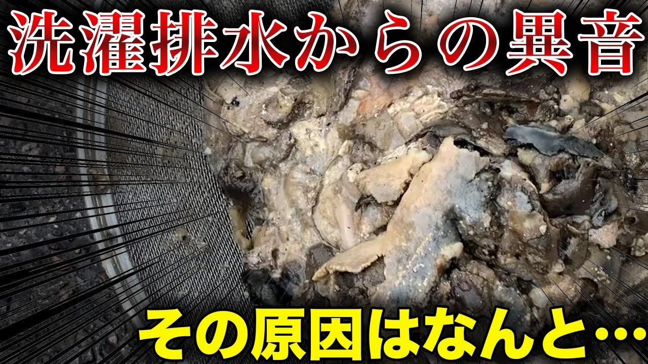 洗濯排水を高圧洗浄機で徹底洗浄！ 【排水管清掃】