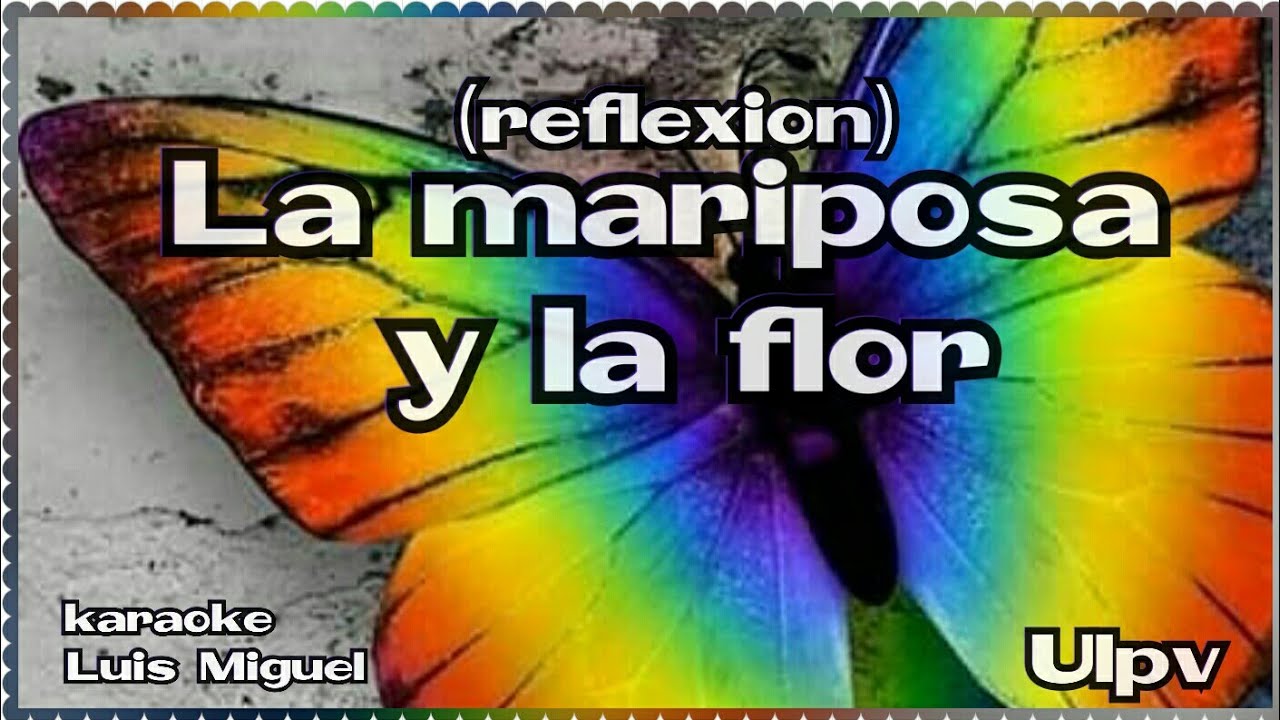 LA MARIPOSA Y LA FLOR (UN LUGAR PARA VOS) - YouTube