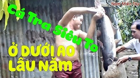 Phần 2. Cùng anh Kỳ về Miền Tây kéo lưới bắt cá Hô và cái kết. NMT 71