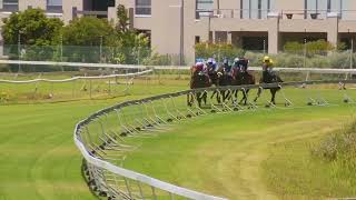 Vidéo de la course PMU PRIX FREEMAN STALLIONS MIDDLE STAKES