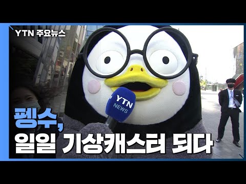 펭하! 펭수의 YTN 일일 기상캐스터 하이라이트