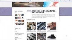 Web Design Orlando Florida