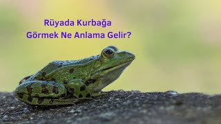 ruyada kurbaga gormek ne anlama gelir ruyada kurbaga gorme youtube