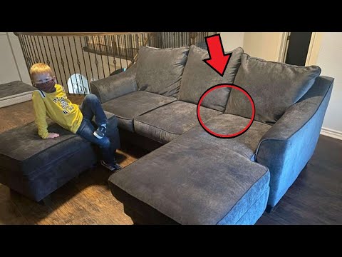 Семья купила диван, но через день собака начала на него лаять и вот почему!