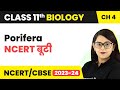 NCERT बूटी: Porifera - Animal Kingdom | Class 11 Biology/NEET