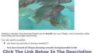 Tilapia Farming Backyard Philippines +++ 50% OFF +++ Discount Link