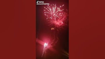 遥控器。1283最大头的烟花。