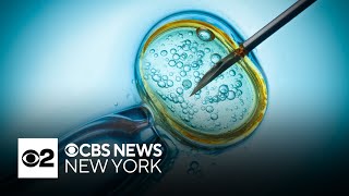 Gay couple files lawsuit against NYC over denial of IVF treatment benefits