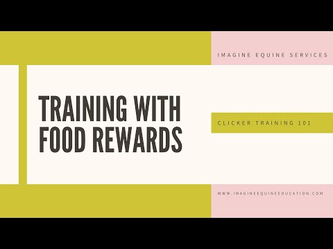 Clicker Training 101