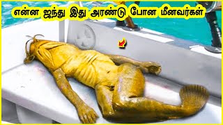 மீனவர்களிடம் சிக்கிய விசித்திரமான விசயங்கள்  | Amazing Things Found By Fisherman